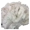 Cotton Waste